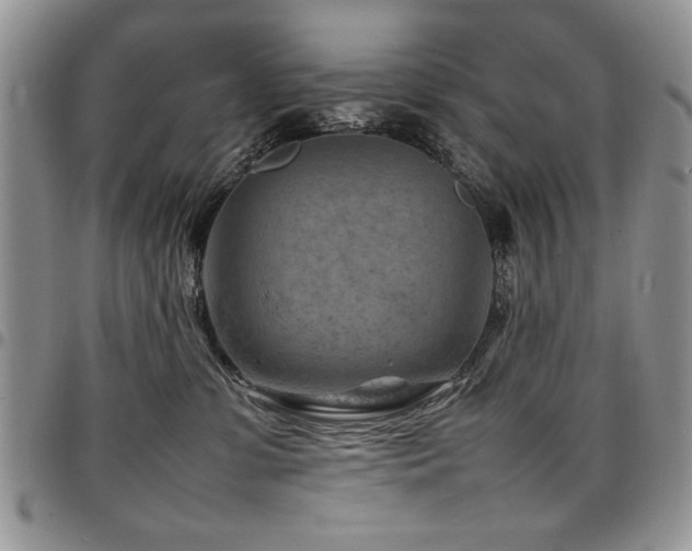 X0000098160331200804171605