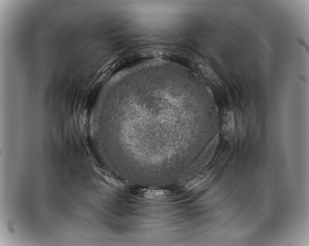 X0000098160332200804171605