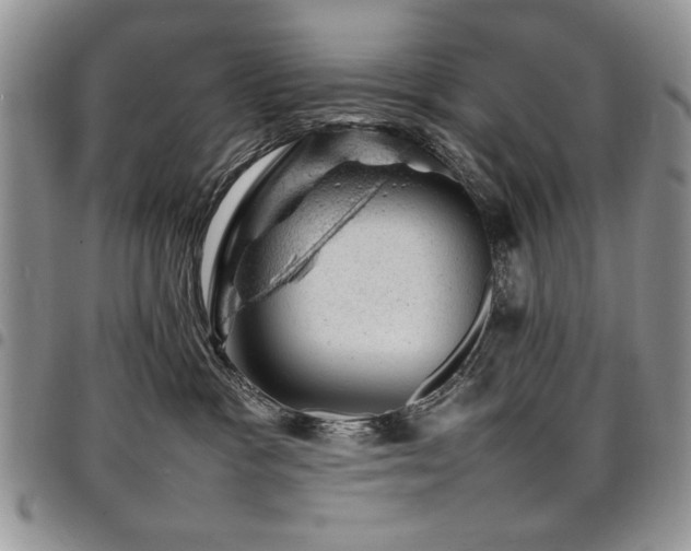 X0000098160333200804171605