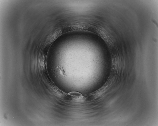 X0000098160334200804171605