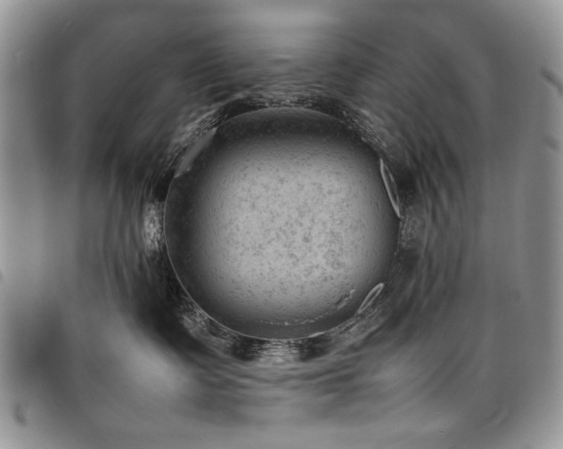 X0000098160335200804171605
