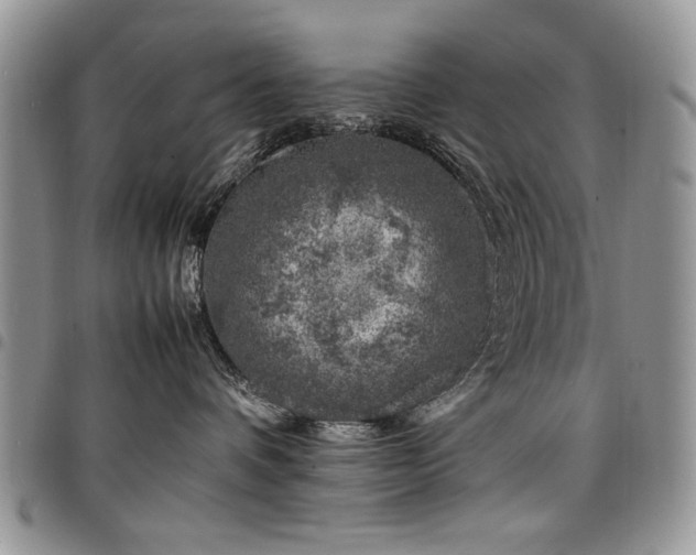 X0000098160336200804171605