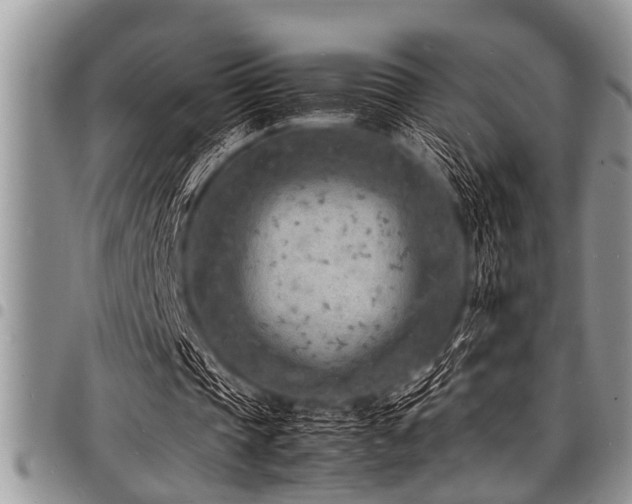 X0000098160337200804171604