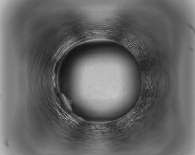 X0000098160338200804171604
