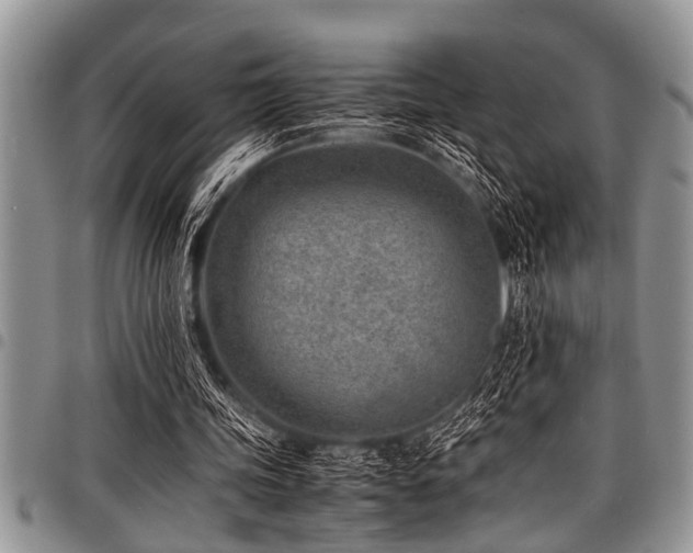 X0000098160339200804171604