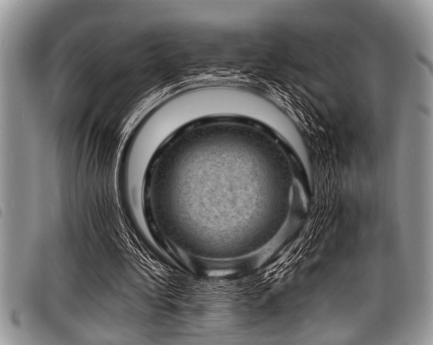 X0000098160340200804171605