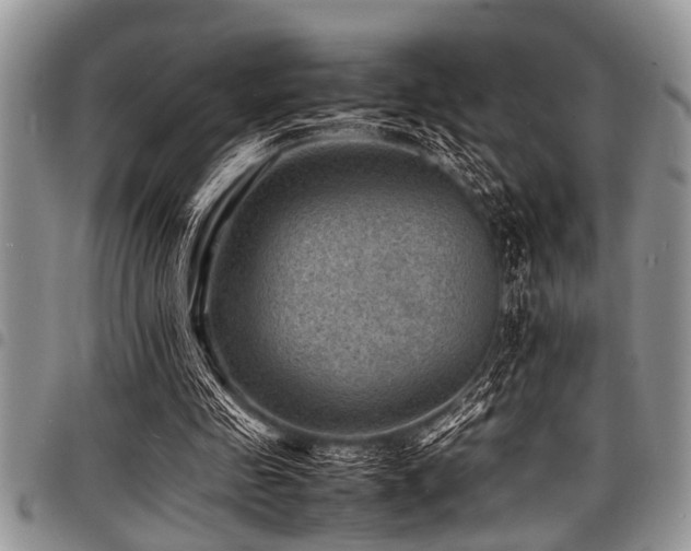 X0000098160341200804171605