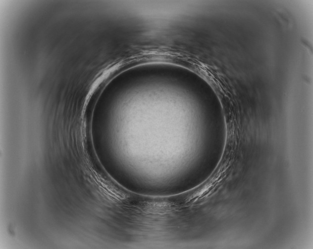 X0000098160342200804171605