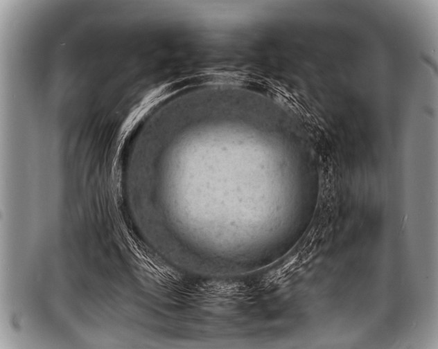 X0000098160343200804171605