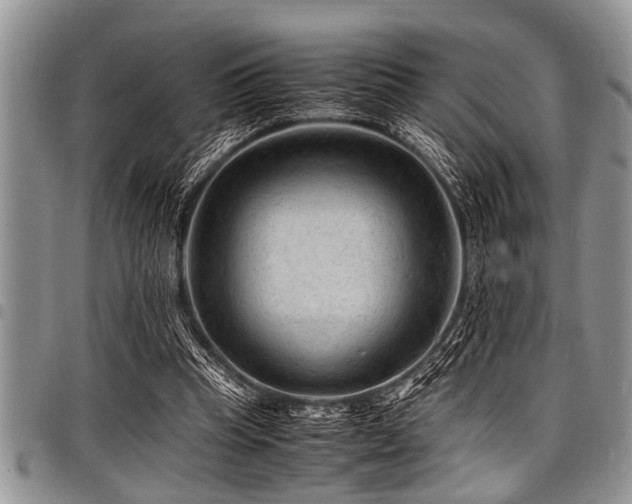 X0000098160345200804171605