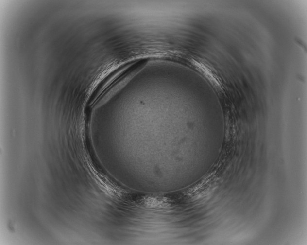 X0000098160346200804171605