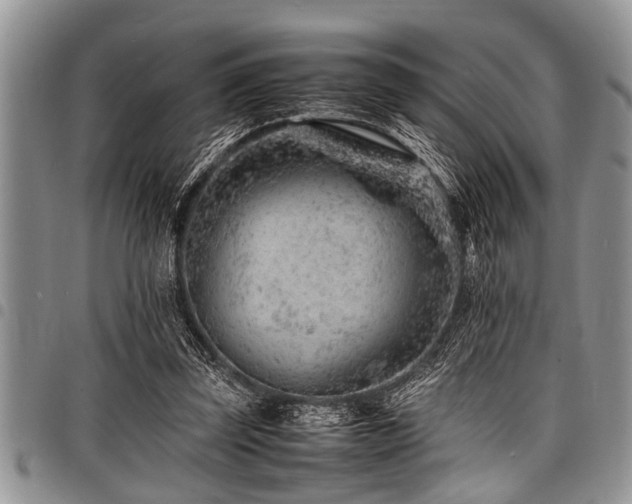 X0000098160347200804171605