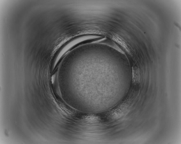 X0000098160348200804171605