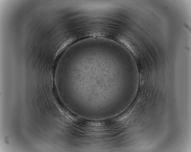 X0000098160349200804171605