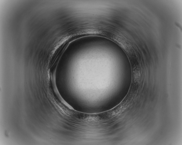 X0000098160350200804171605
