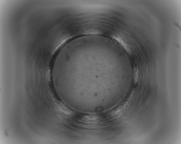 X0000098160351200804171605