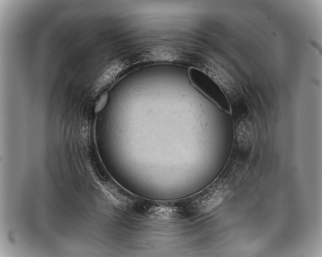 X0000098160352200804171605