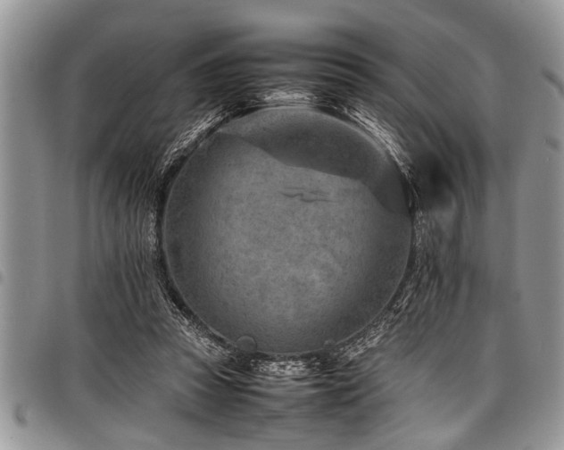 X0000098160353200804171605