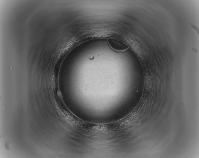 X0000098160354200804171605