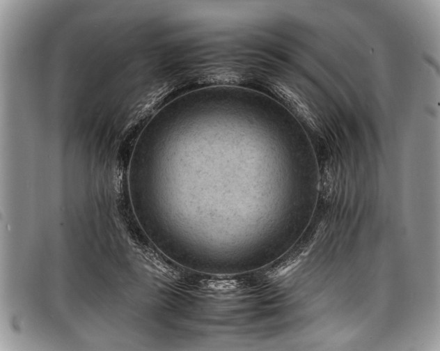 X0000098160355200804171605