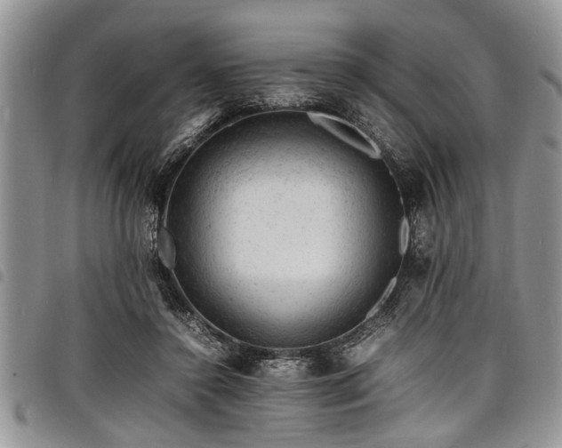 X0000098160356200804171605