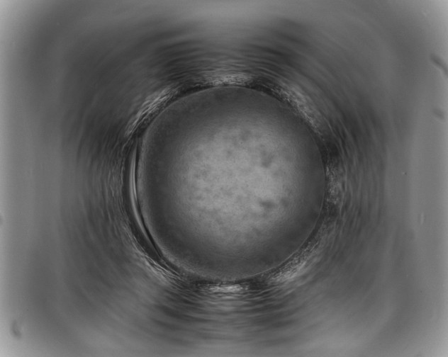 X0000098160357200804171605