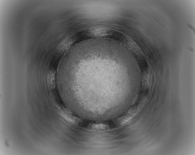 X0000098160360200804171605