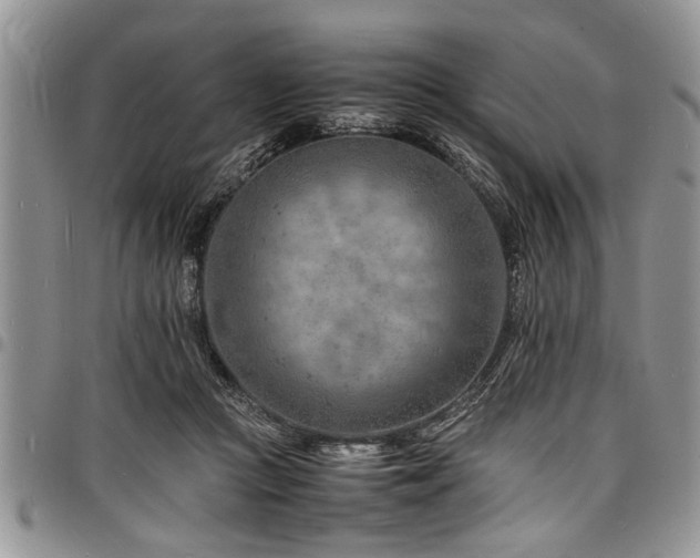 X0000098160361200804171605