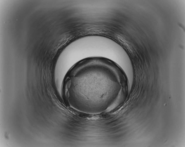 X0000098160362200804171605