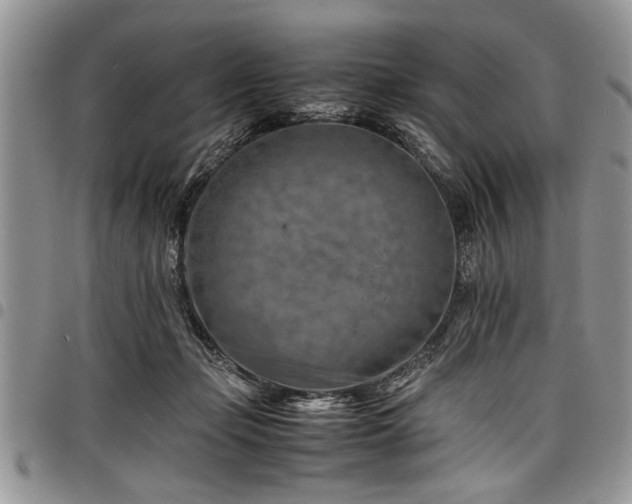 X0000098160365200804171605