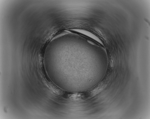 X0000098160366200804171605