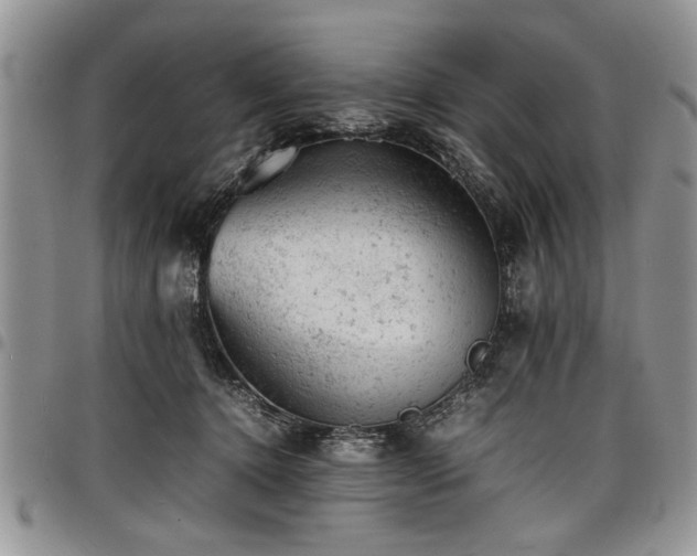 X0000098160368200804171605