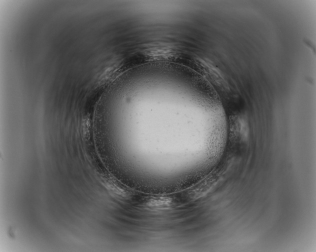 X0000098160369200804171605