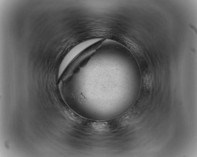 X0000098160373200804171605