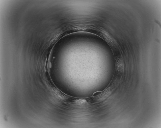 X0000098160374200804171605