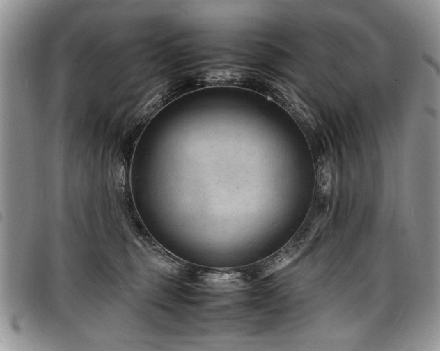 X0000098160375200804171605