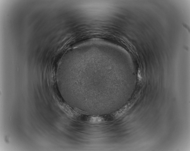 X0000098160376200804171605