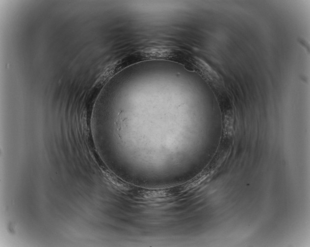 X0000098160377200804171605