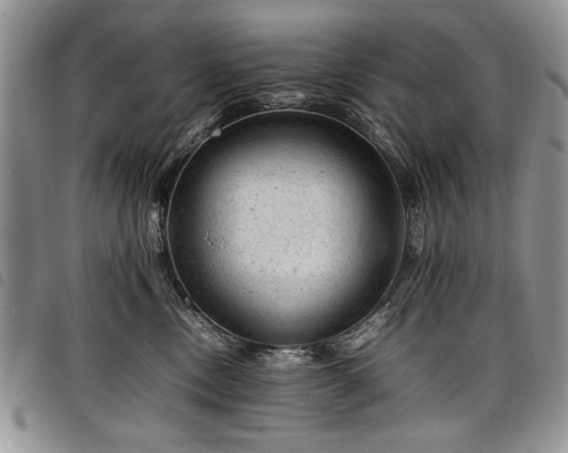 X0000098160378200804171605