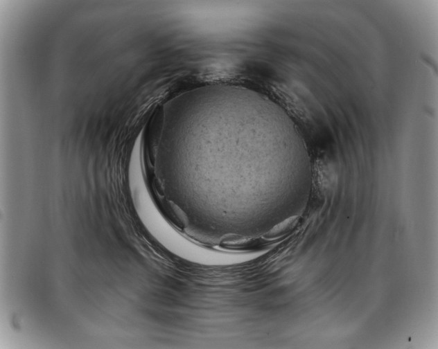 X0000098160380200804171605