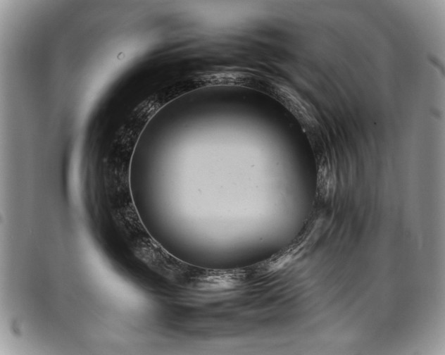 X0000098160381200804171605