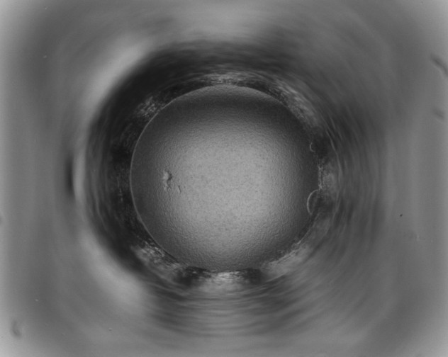 X0000098160382200804171605