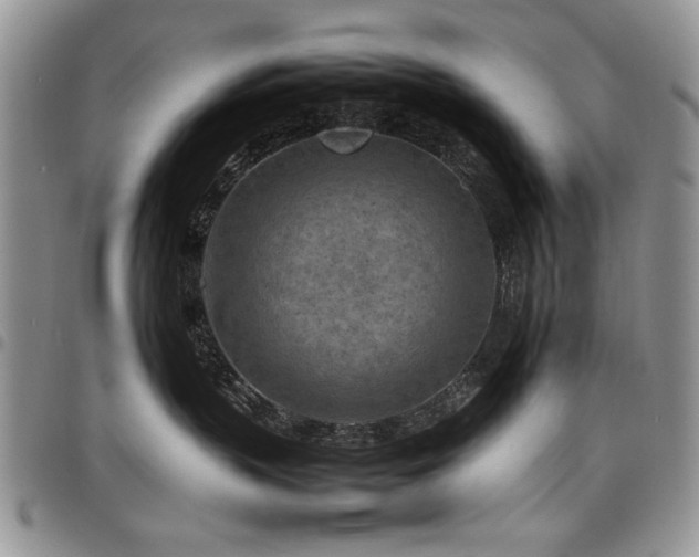 X0000098160383200804171605