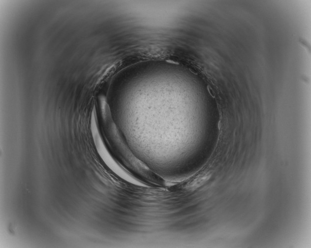 X0000098160384200804171605