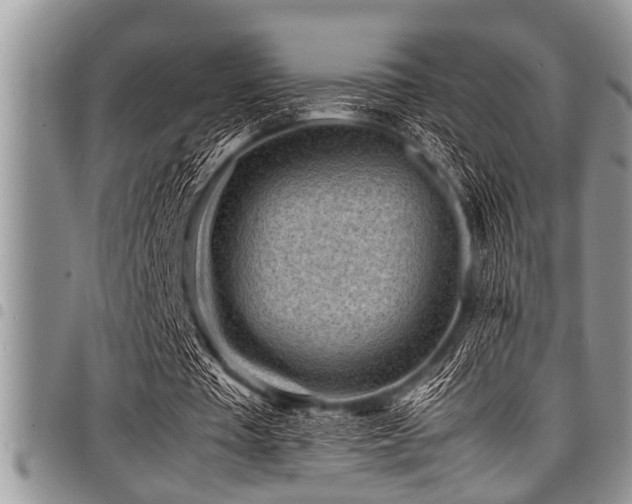 X0000098160385200804171604