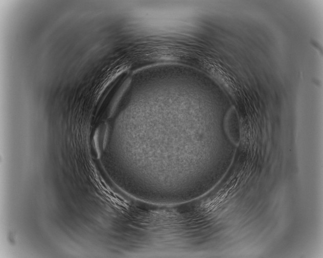 X0000098160386200804171604
