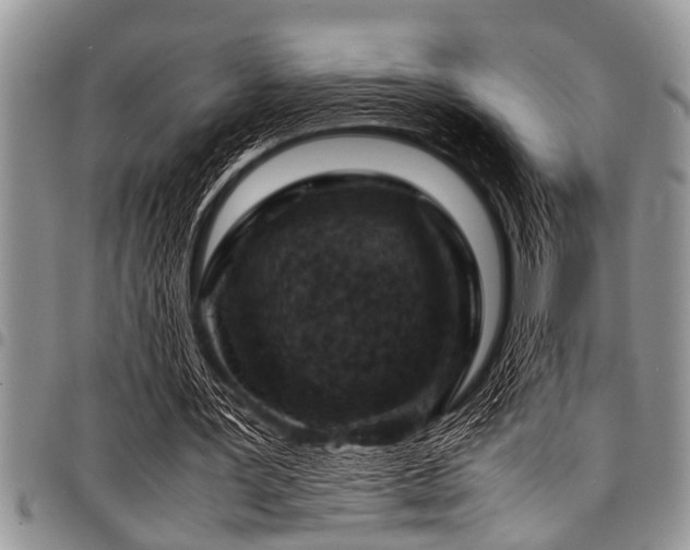 X0000098160387200804171604