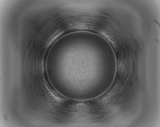 X0000098160390200804171604