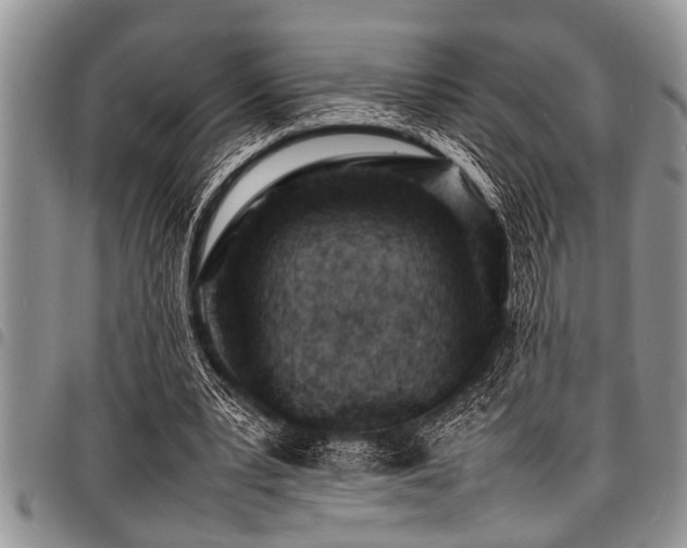 X0000098160391200804171604