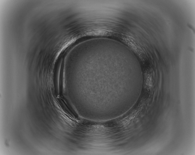 X0000098160392200804171604